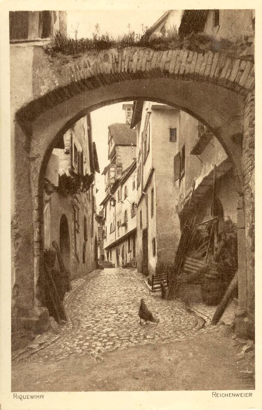Riquewihr